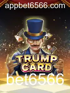 Explorando o Mundo de TrumpCard: Um Guia Completo